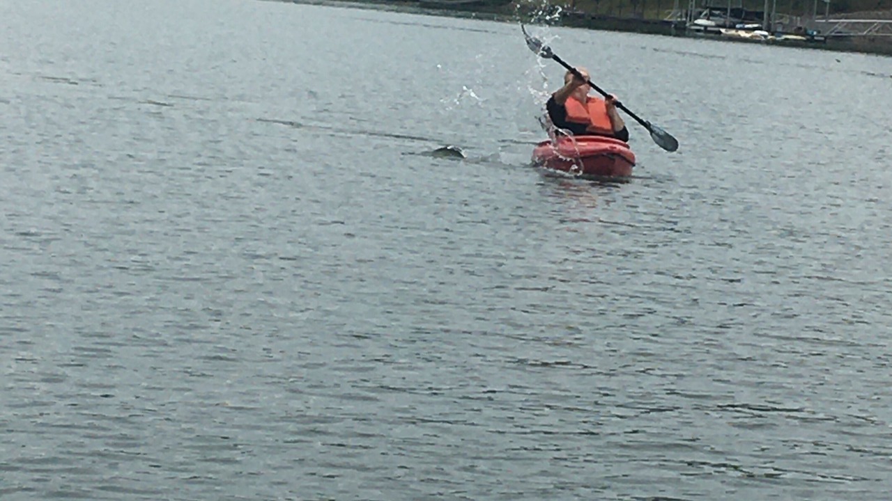 Photo of Others in Hiawassee