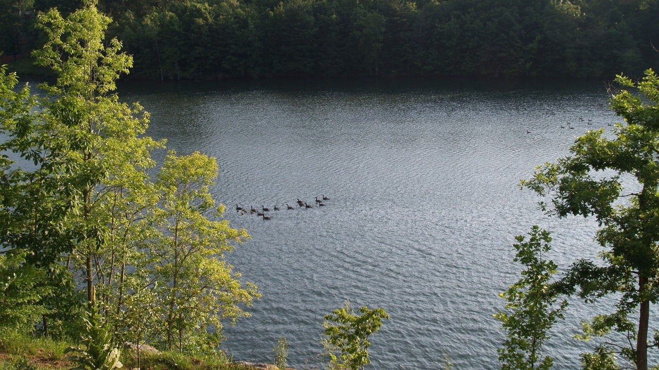 Photo of Outdoor in Hiawassee