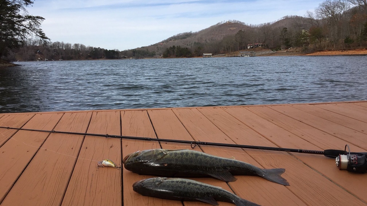 Photo of Others in Hiawassee