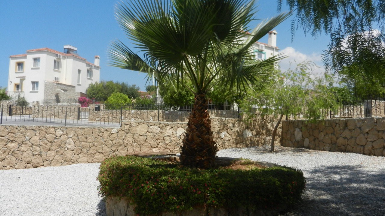 Photo of Outdoor in Arapkoy