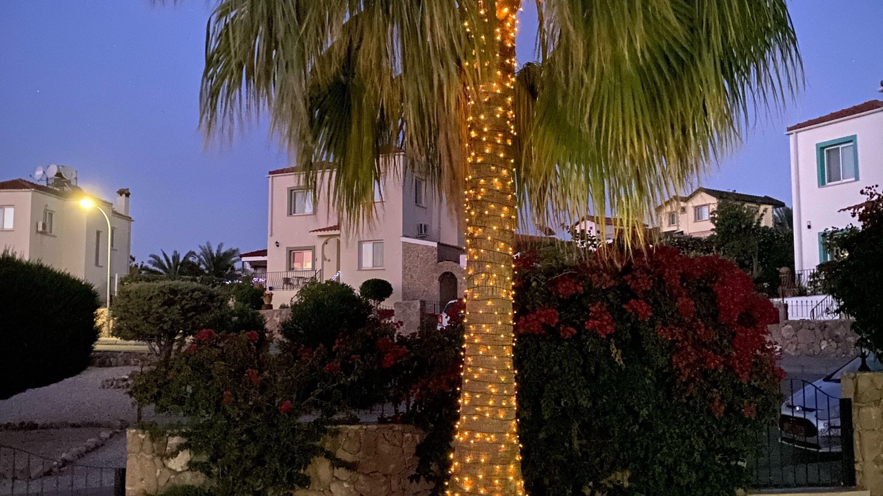 Photo of Outdoor in Arapkoy