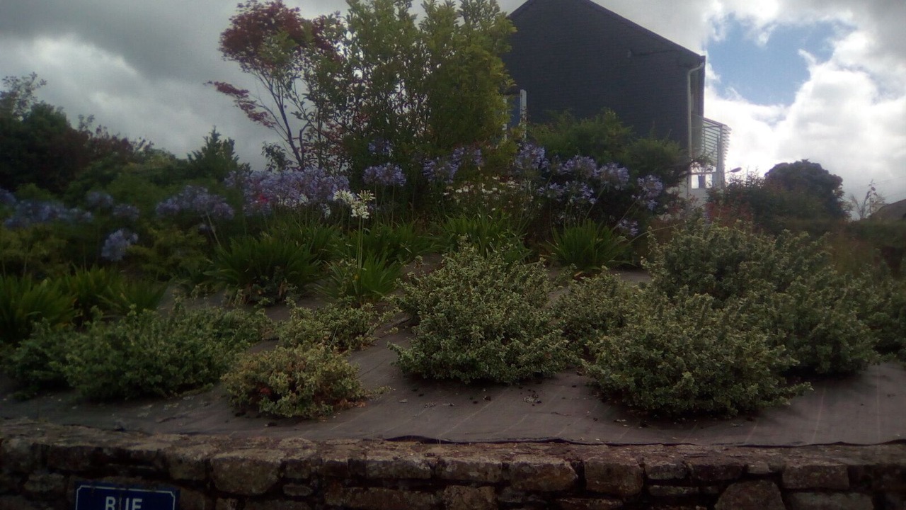 Photo of Outdoor in Plelo