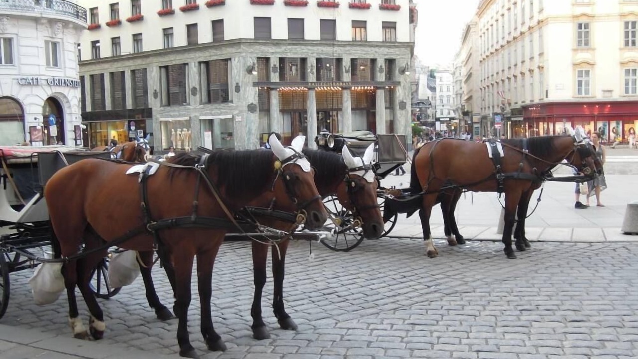 Photo of Outdoor in Josefstadt
