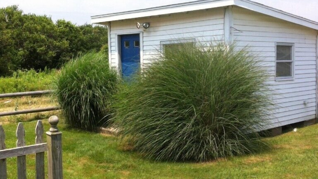 Photo of Outdoor in Point Judith