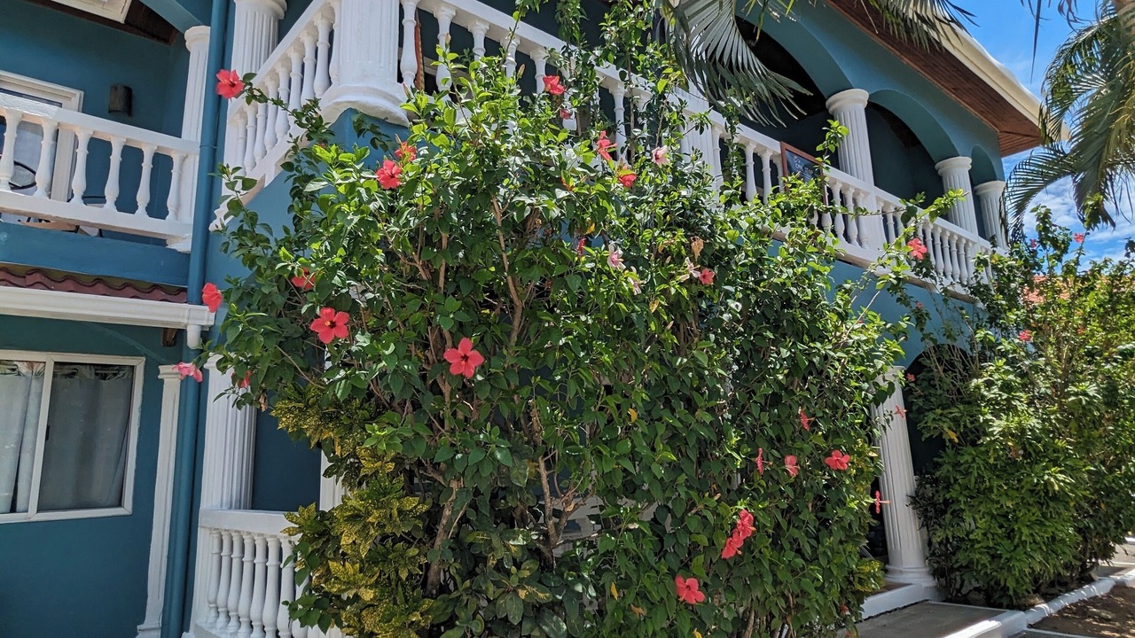 Photo of Outdoor in West End