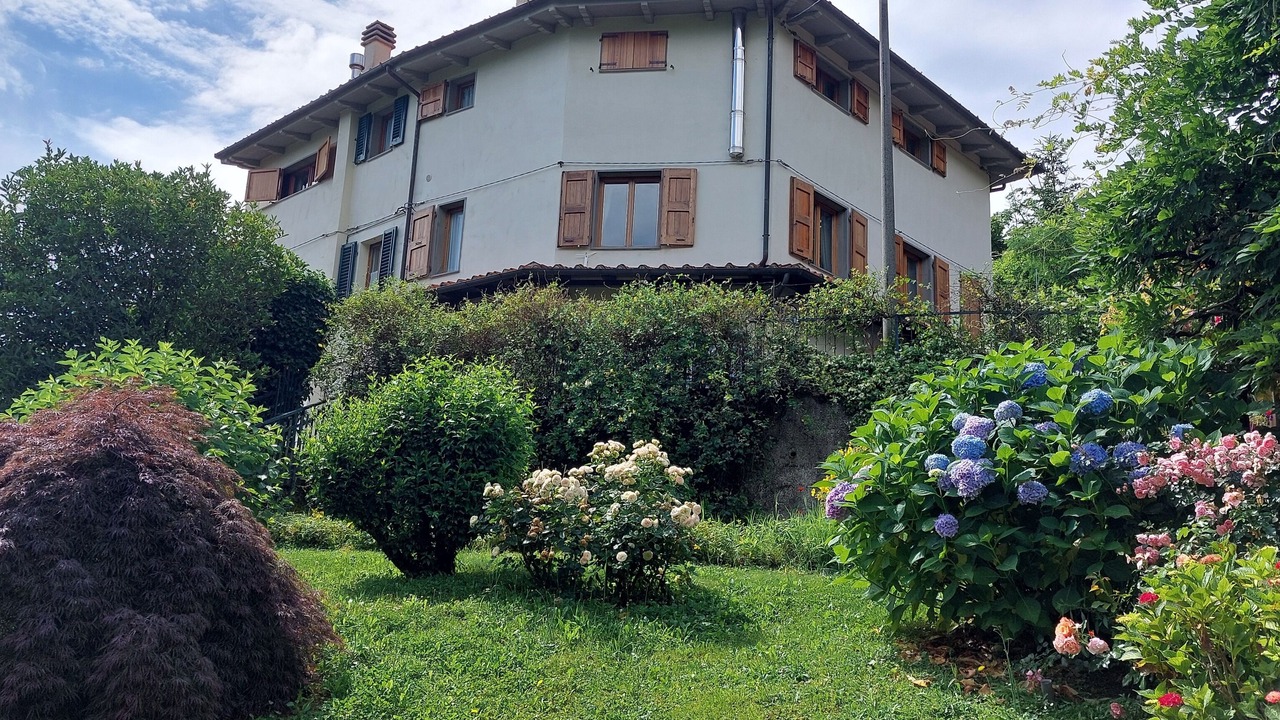 Photo of Outdoor in San Momme