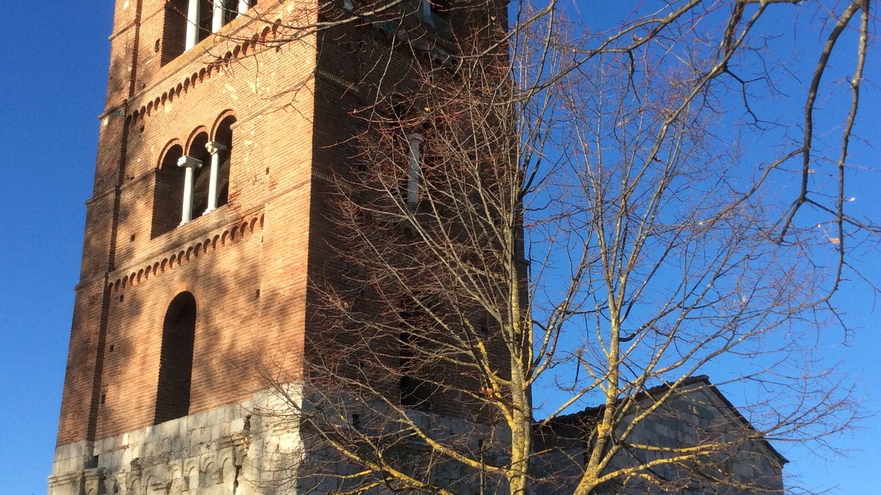 Photo of Others in Pisa