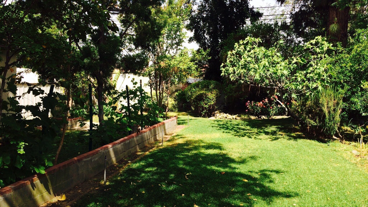 Photo of Outdoor in Burbank