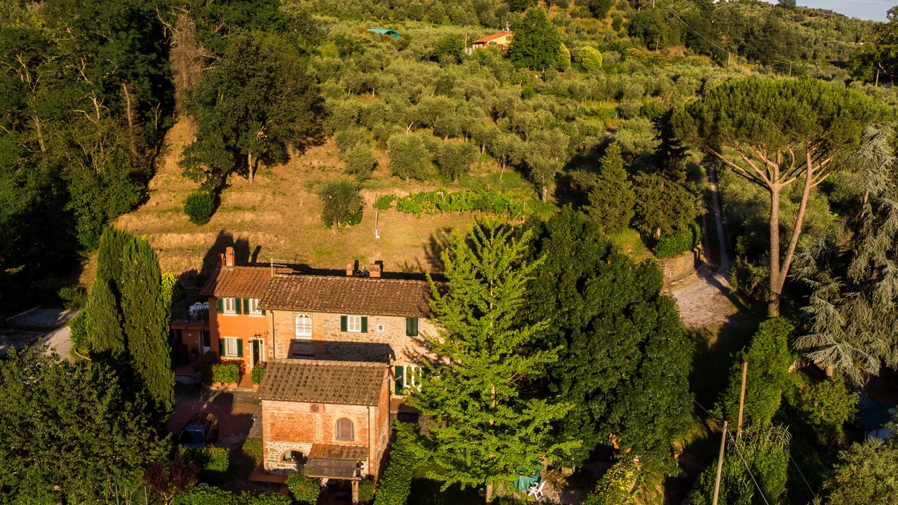 Photo of Outdoor in Massa e Cozzile
