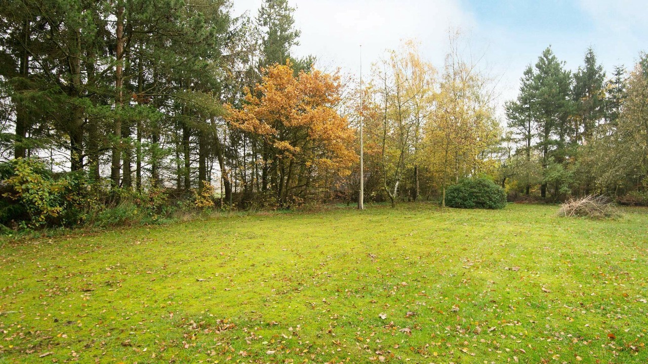 Photo of Outdoor in Helberskov