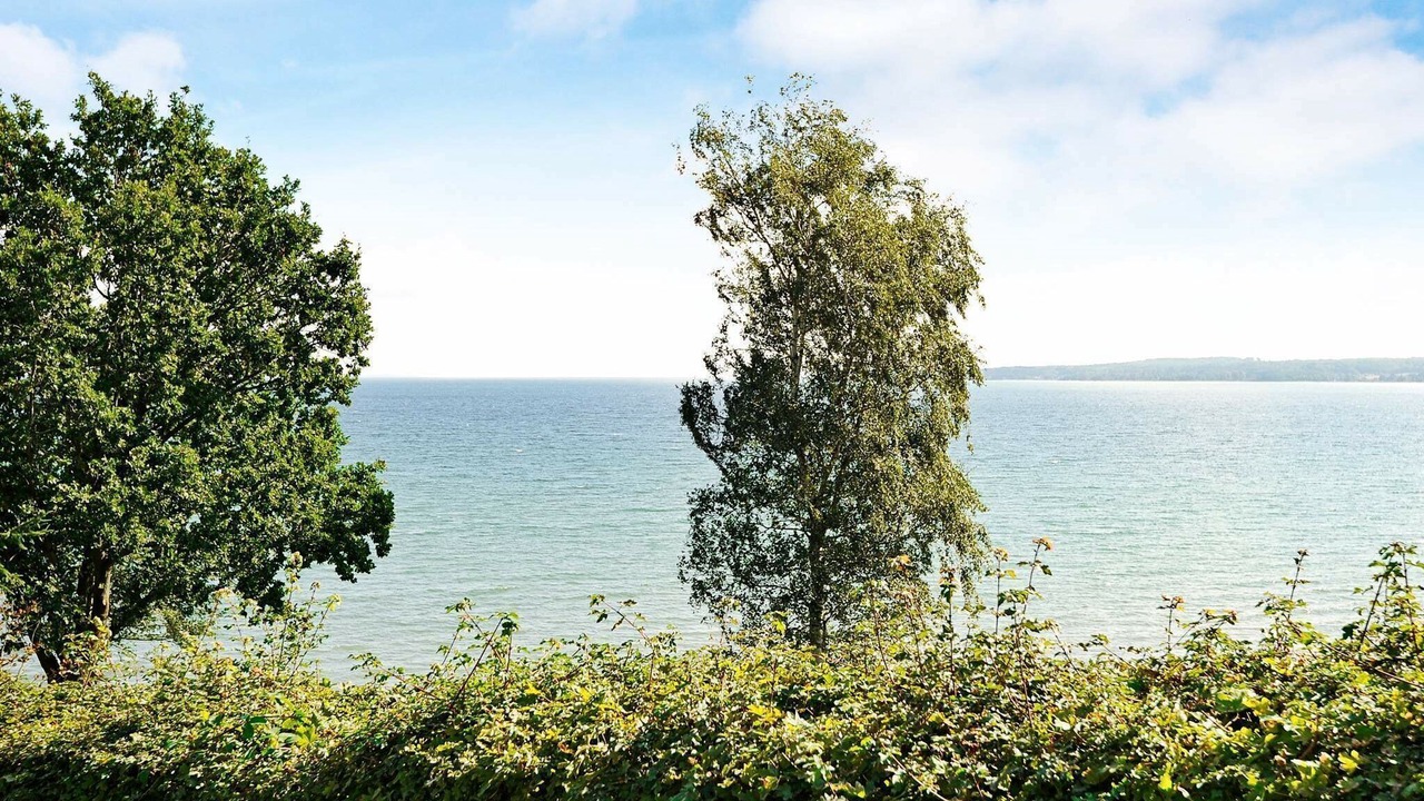 Photo of Others in Hvidbjerg Strand