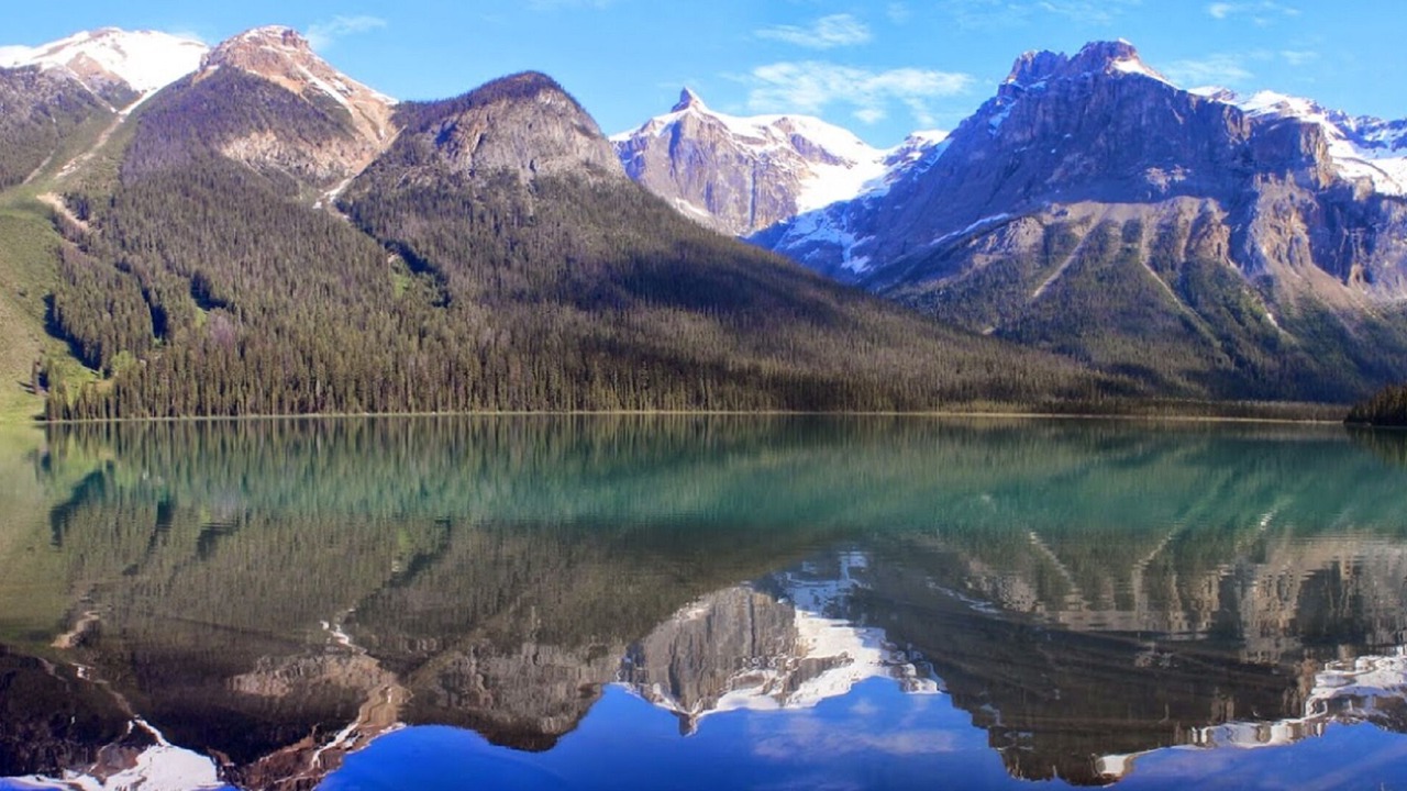 Photo of Outdoor in Golden