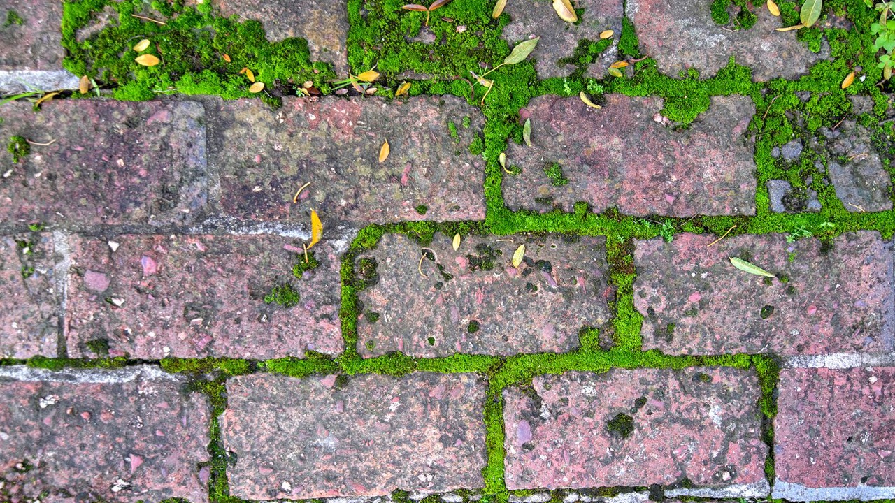 Photo of Outdoor in Bendigo