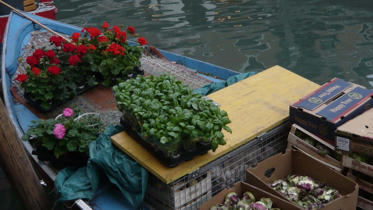 Photo of Others in Cannaregio