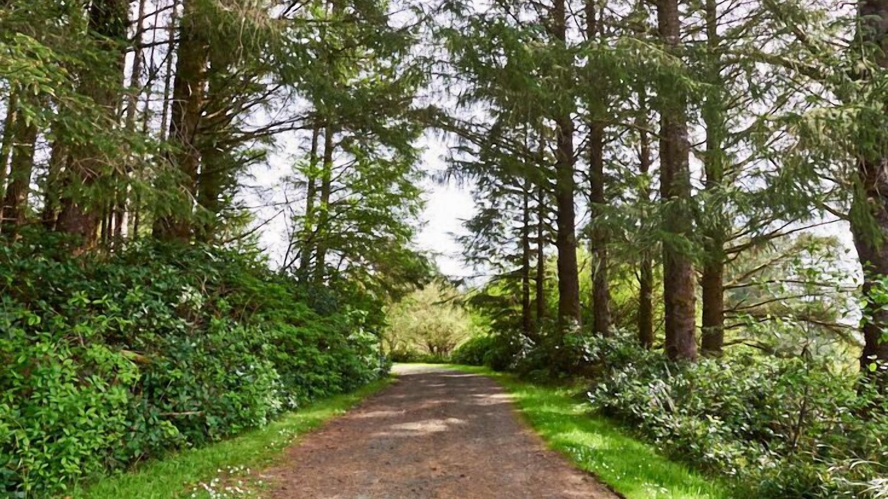 Photo of Outdoor in Tillamook