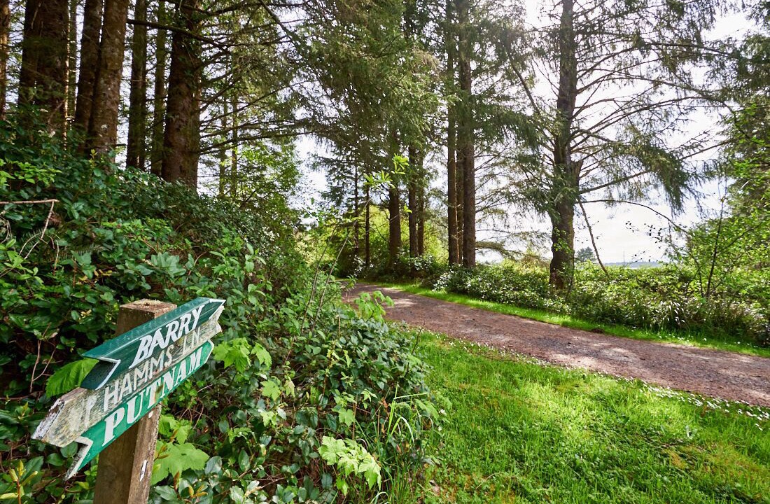 Photo of Outdoor in Tillamook