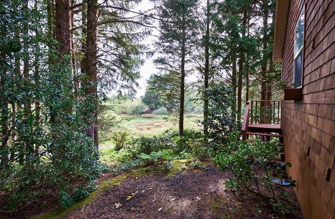 Photo of Outdoor in Tillamook
