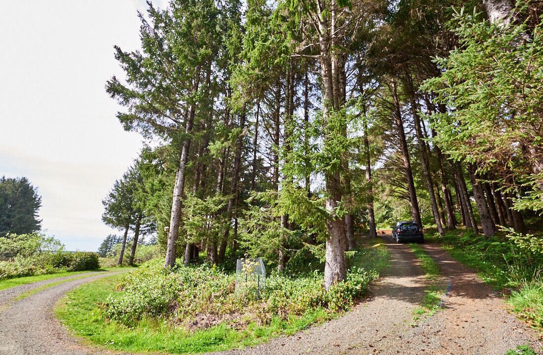 Photo of Outdoor in Tillamook