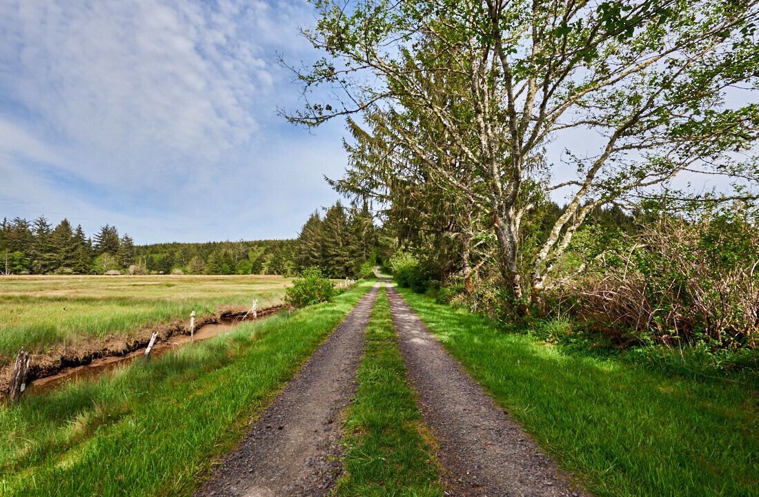 Photo of Outdoor in Tillamook