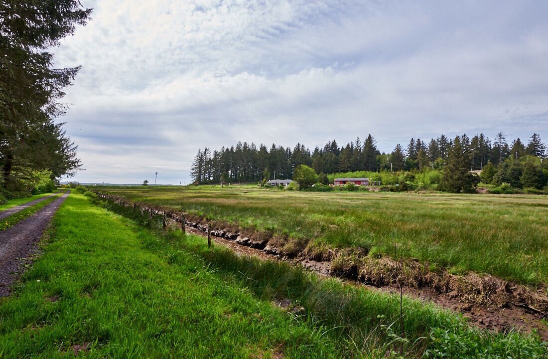 Photo of Outdoor in Tillamook