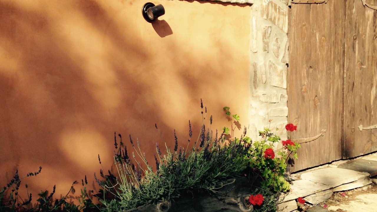 Photo of Outdoor in Mar Vista