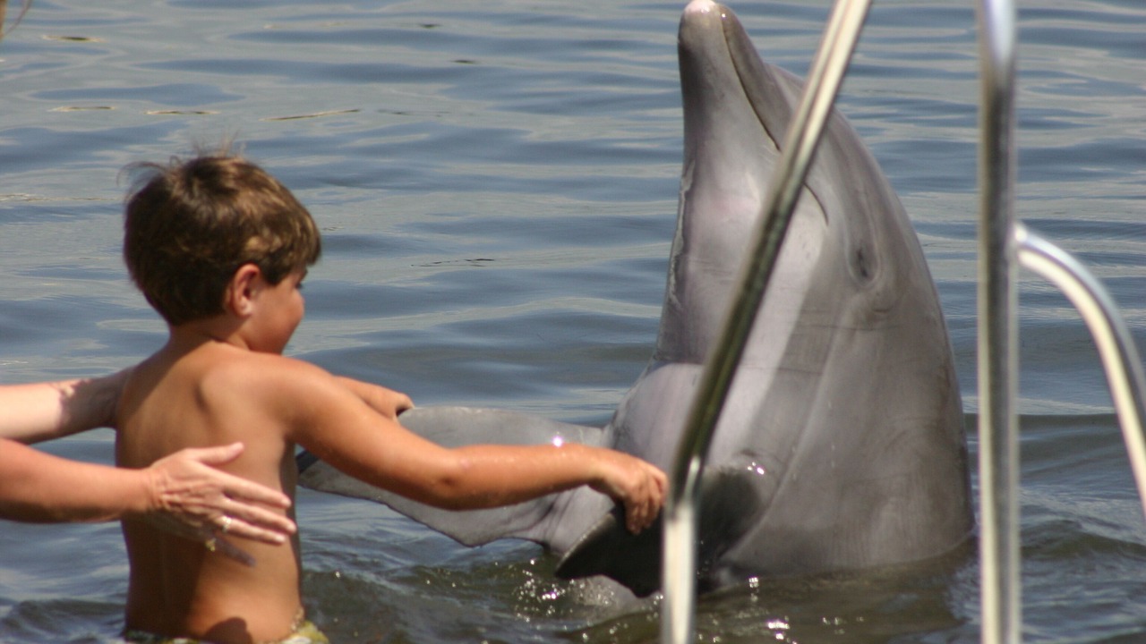 Photo of Others in Key Colony Beach