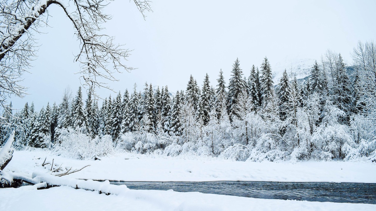 Photo of Others in Alyeska