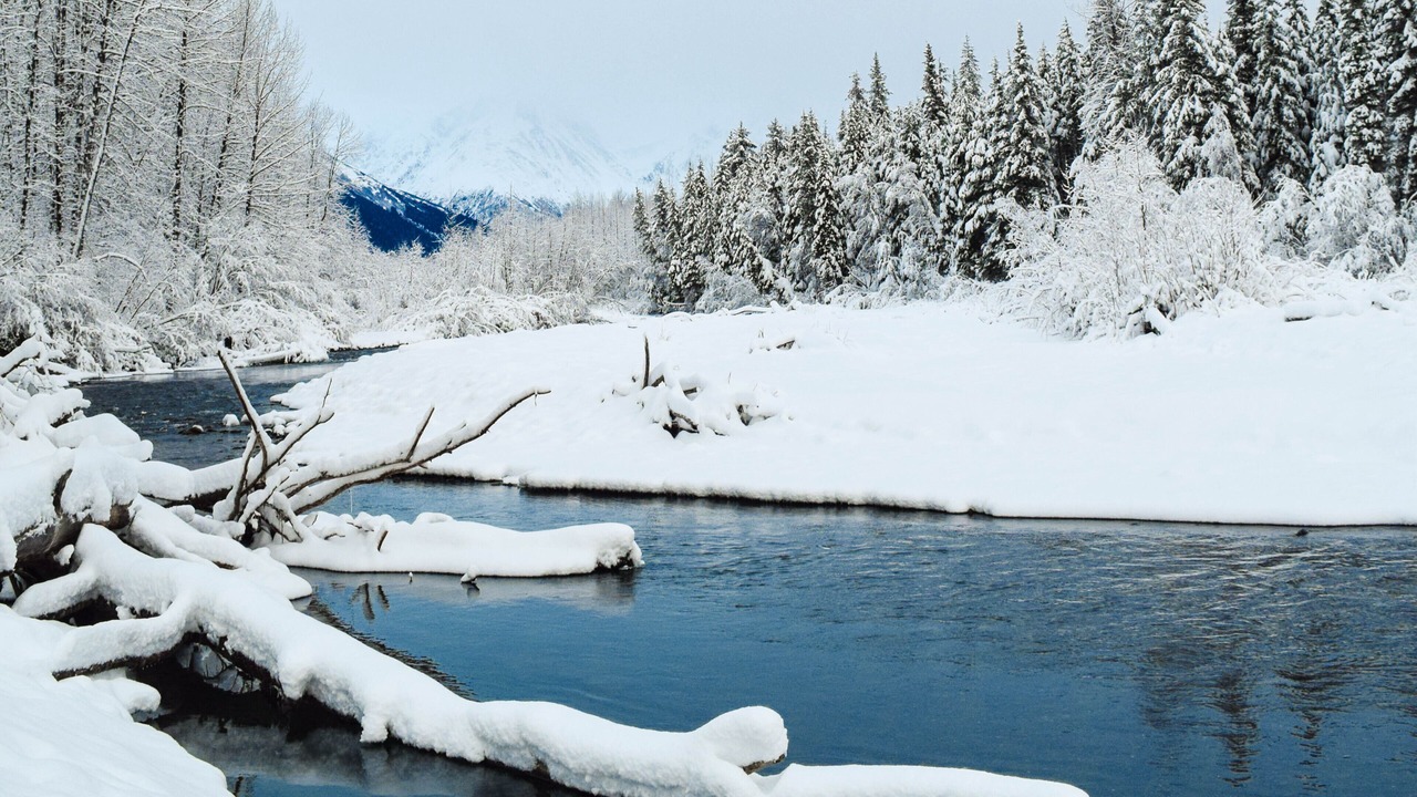 Photo of Others in Alyeska