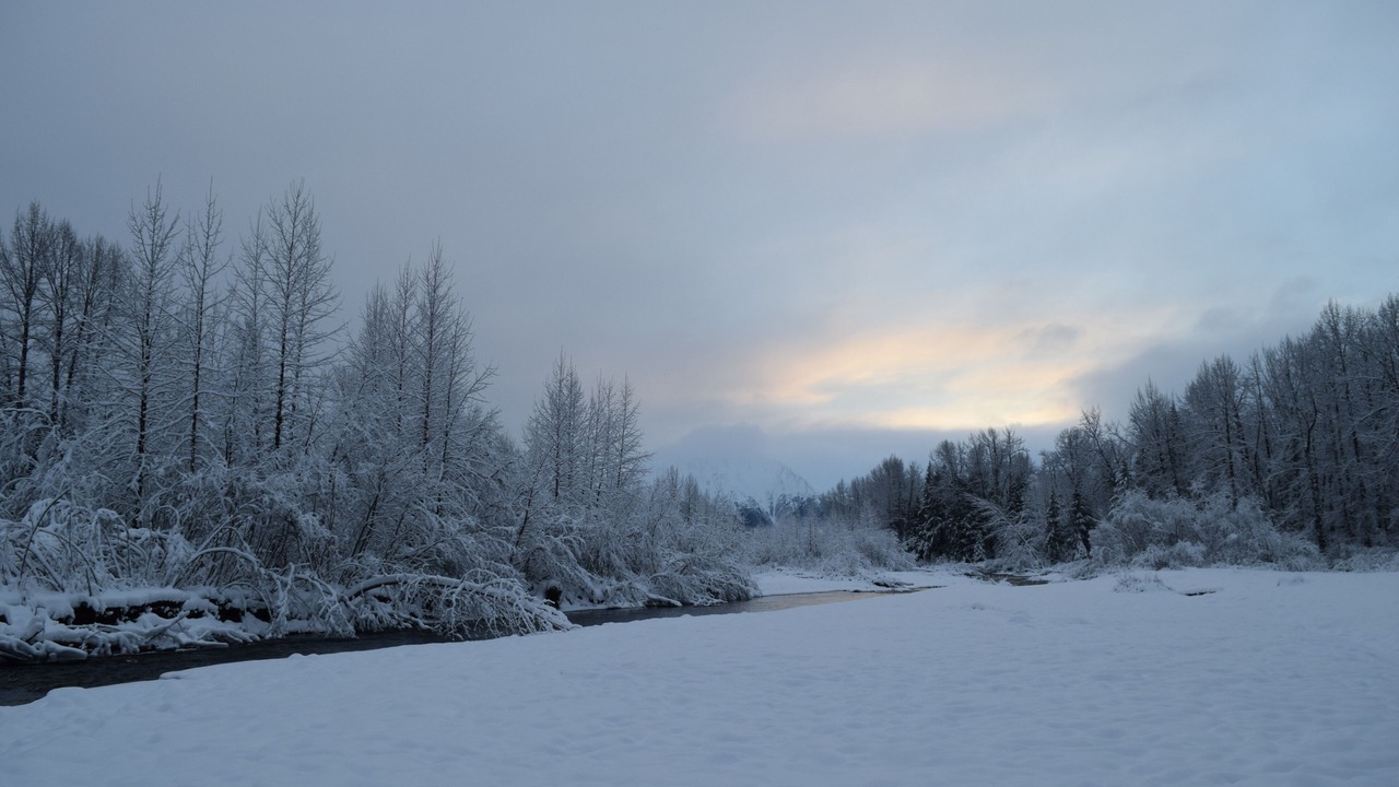 Photo of Others in Alyeska
