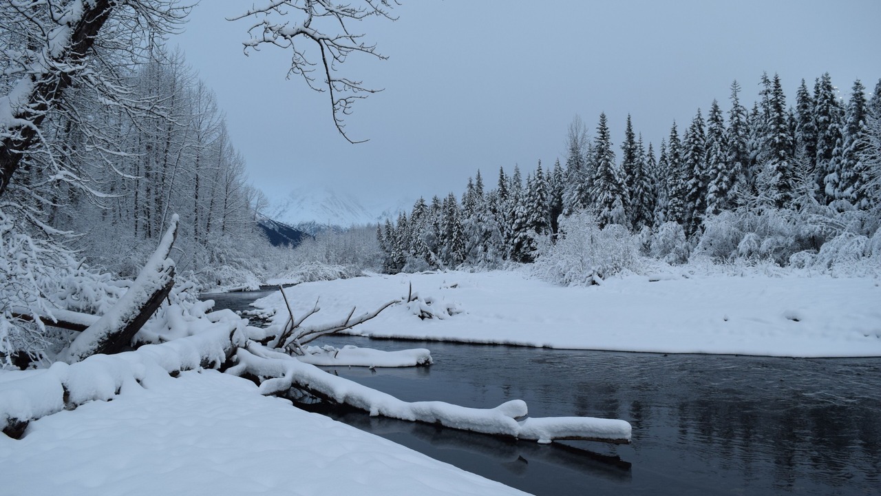 Photo of Others in Alyeska