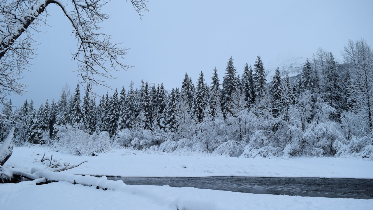 Photo of Others in Alyeska
