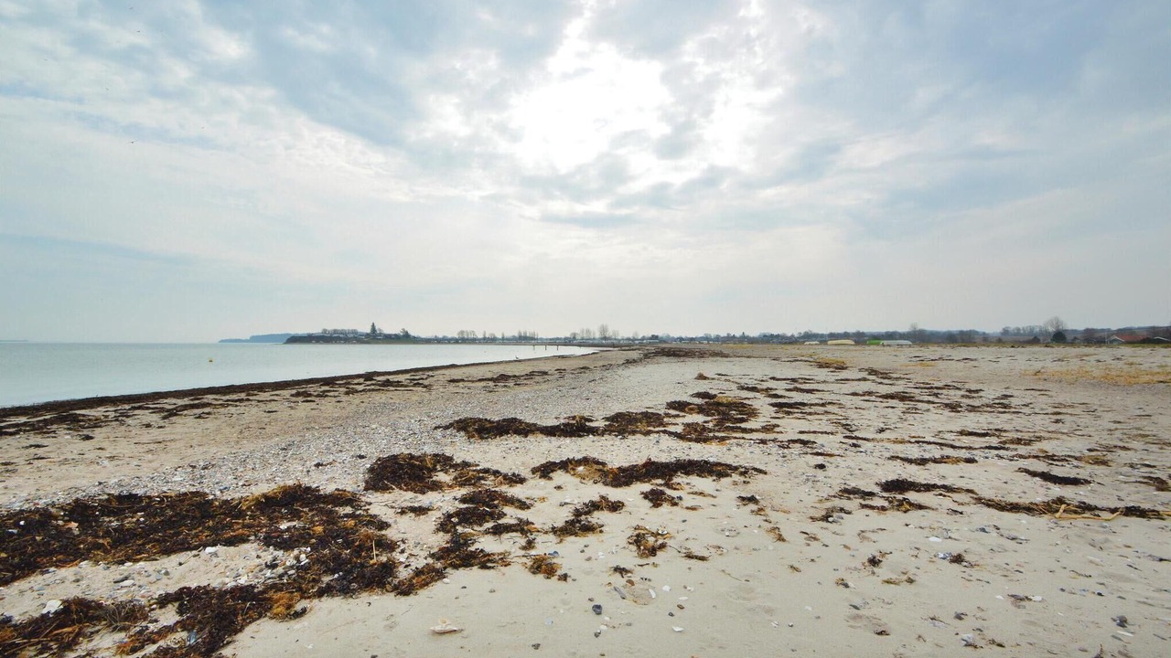 Photo of Others in Diernæs Strandby