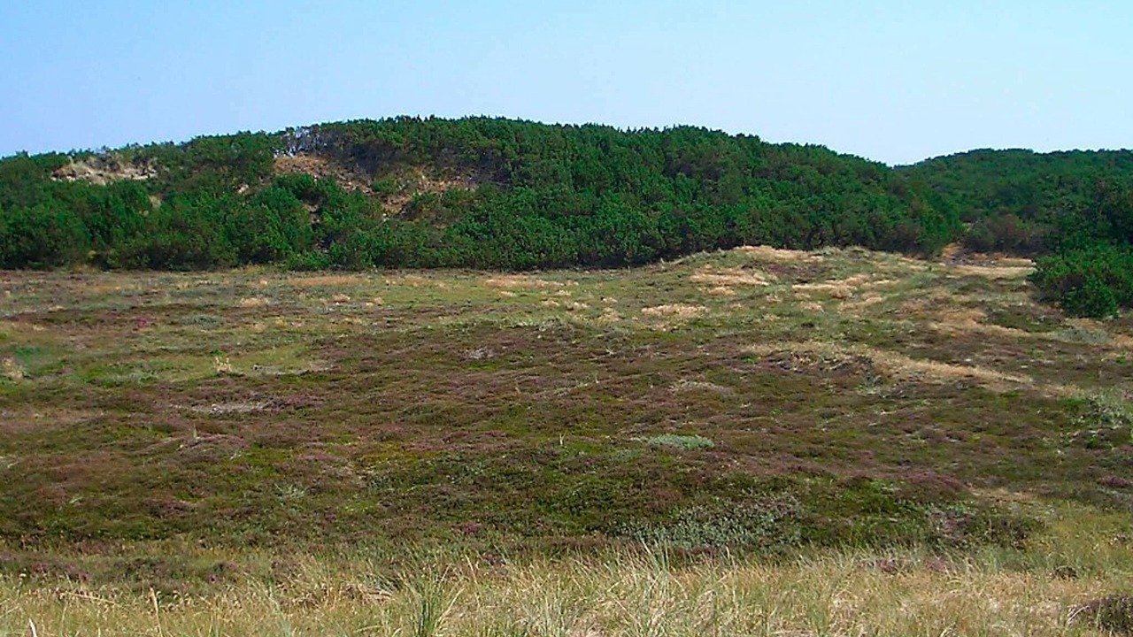 Photo of Others in Klitmoller
