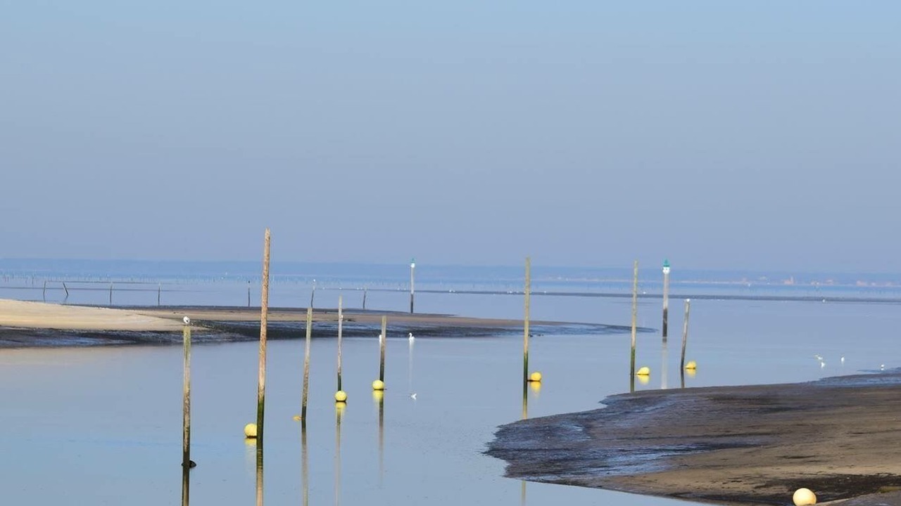 Photo of Outdoor in Taussat