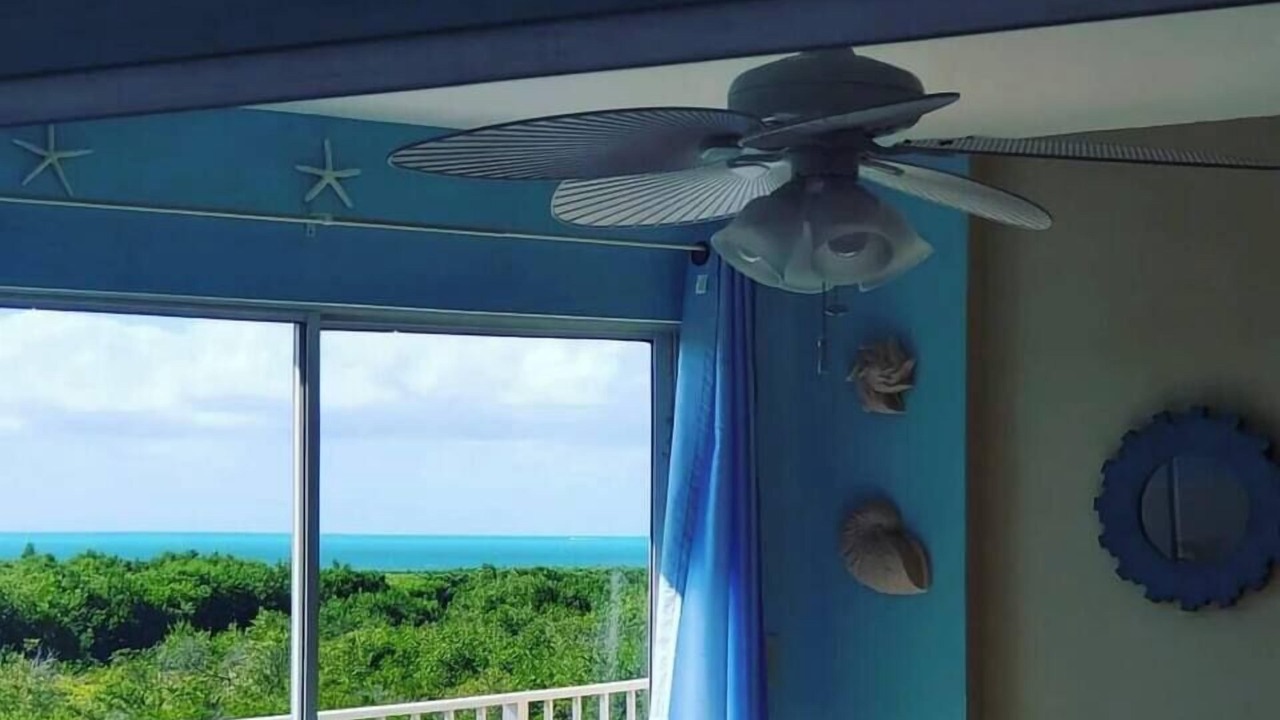 Photo of Others in Tavernier