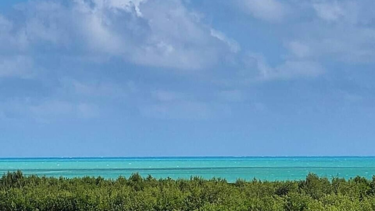 Photo of Others in Tavernier