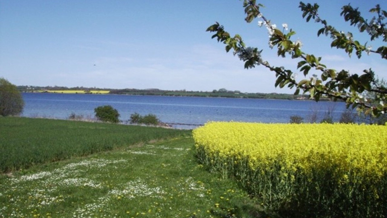 Photo of Others in Kegnæshøj