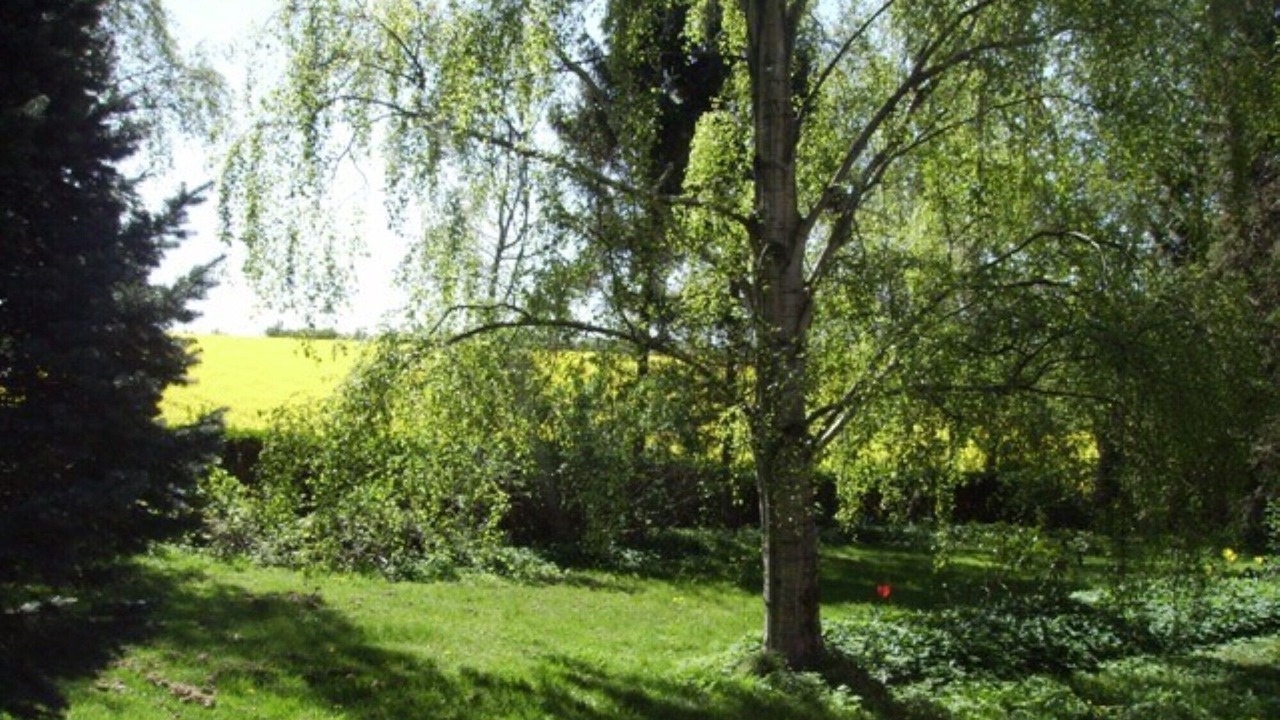 Photo of Outdoor in Kegnæshøj