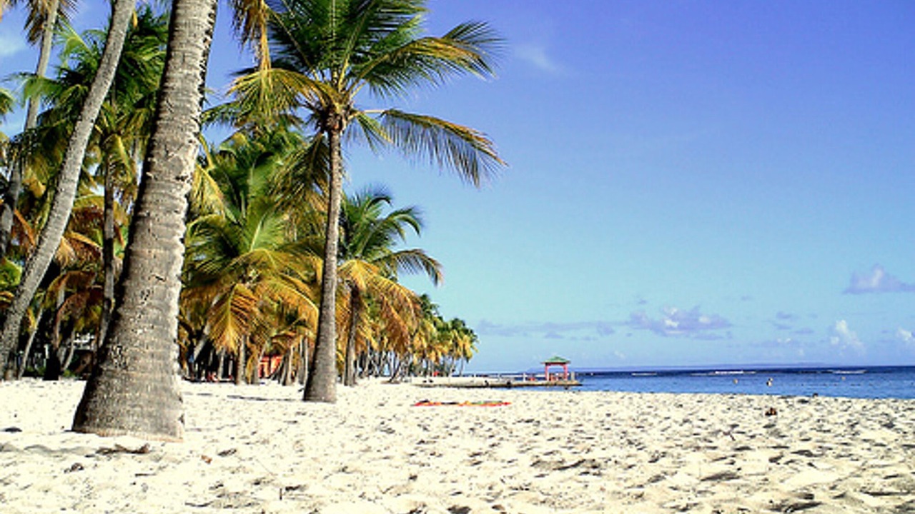 Photo of Others in Sainte-Anne