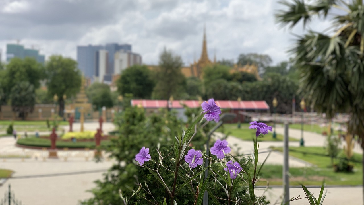 Photo of Outdoor in Daun Penh