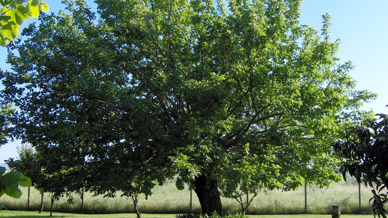 Photo of Outdoor in Cascina