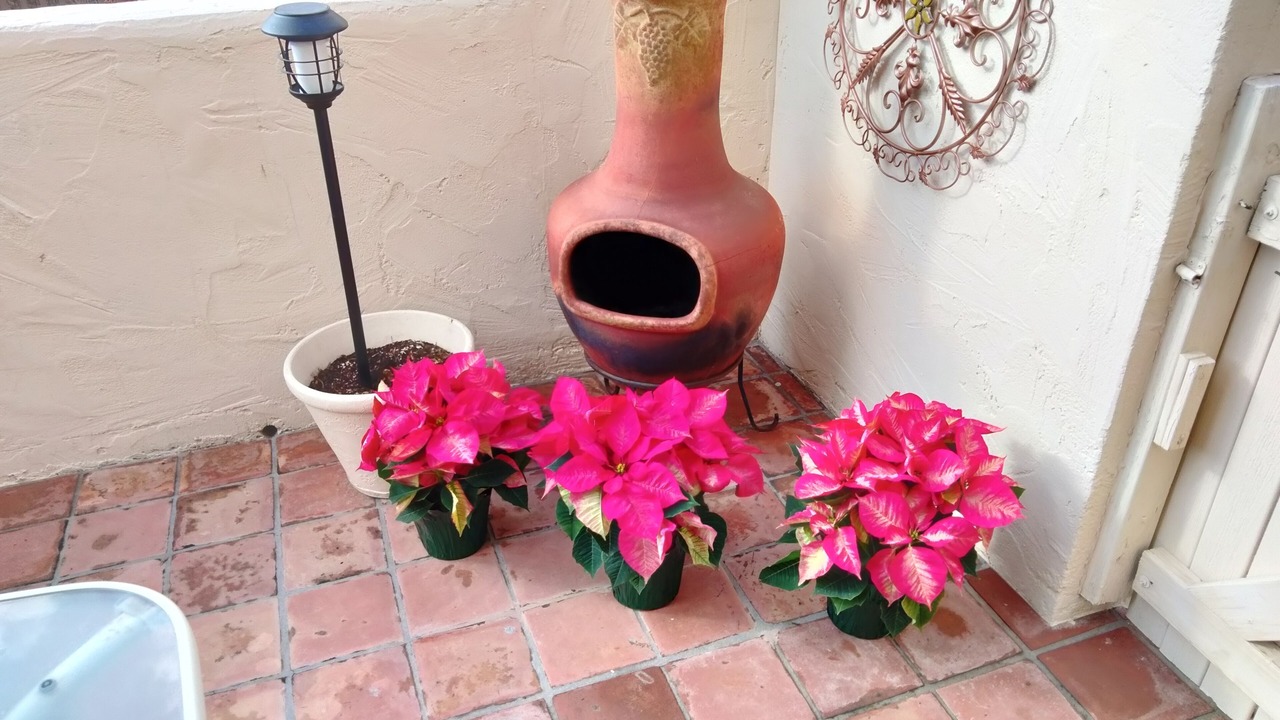 Photo of Outdoor in Alamos