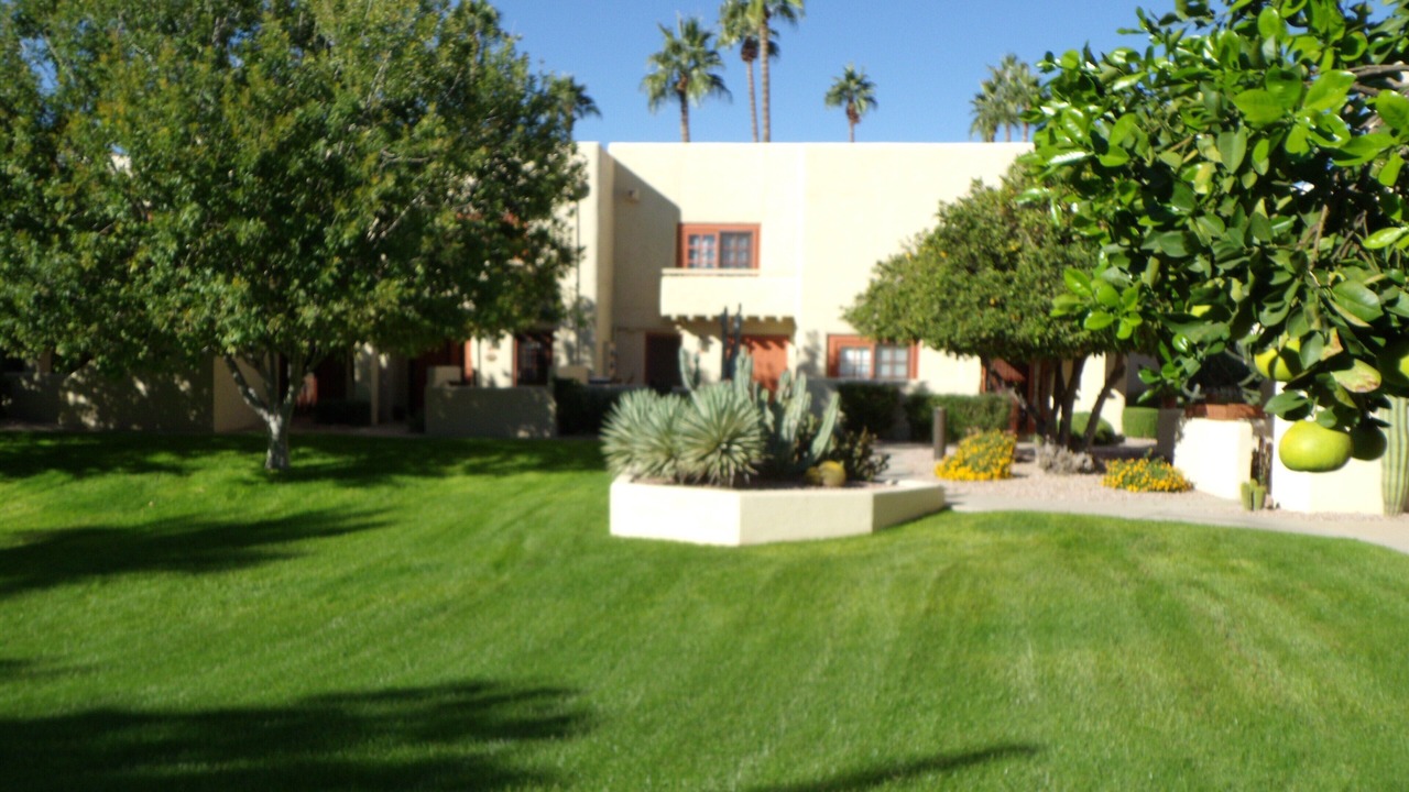Photo of Outdoor in Alamos