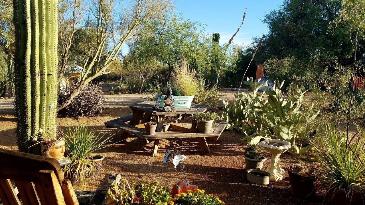 Photo of Outdoor in Tanque Verde