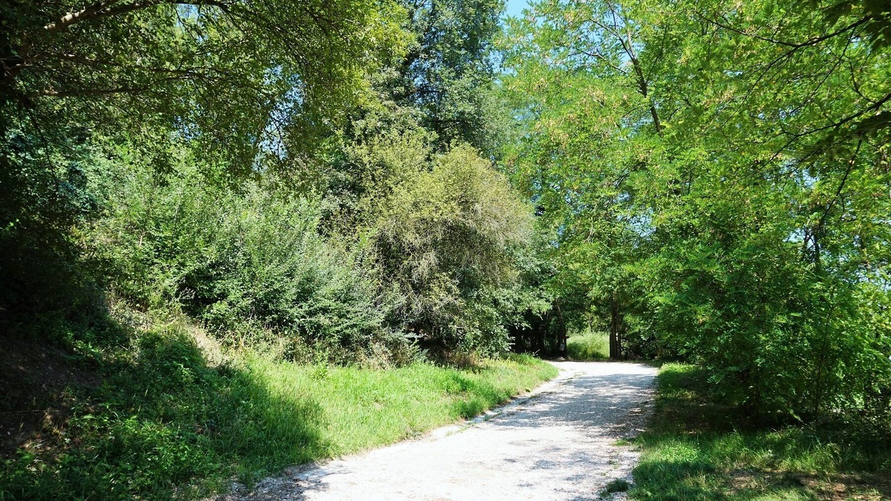 Photo of Outdoor in Montegrotto Terme