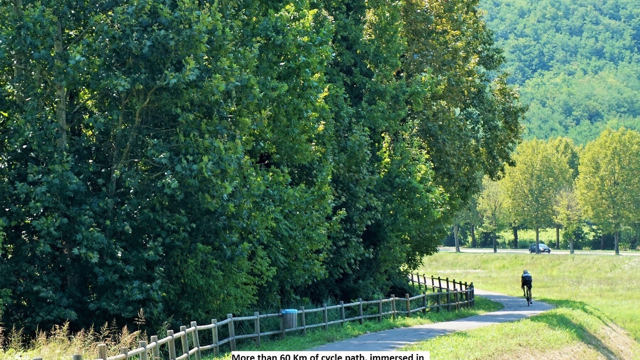 Photo of Others in Montegrotto Terme