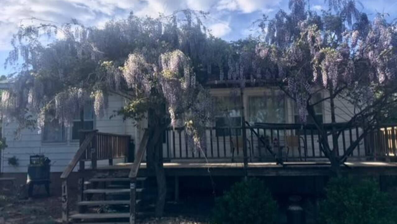 Photo of Outdoor in Monticello