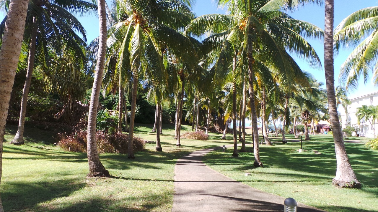 Photo of Outdoor in Anse des Rochers