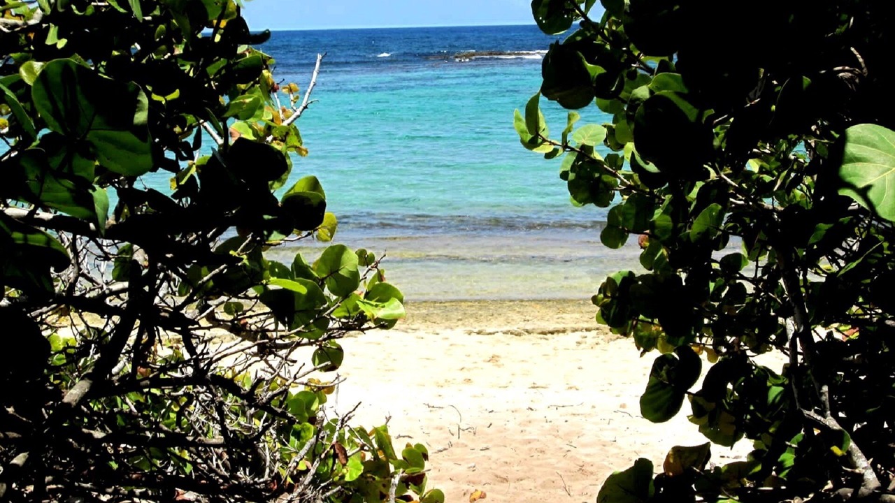 Photo of Others in Anse des Rochers