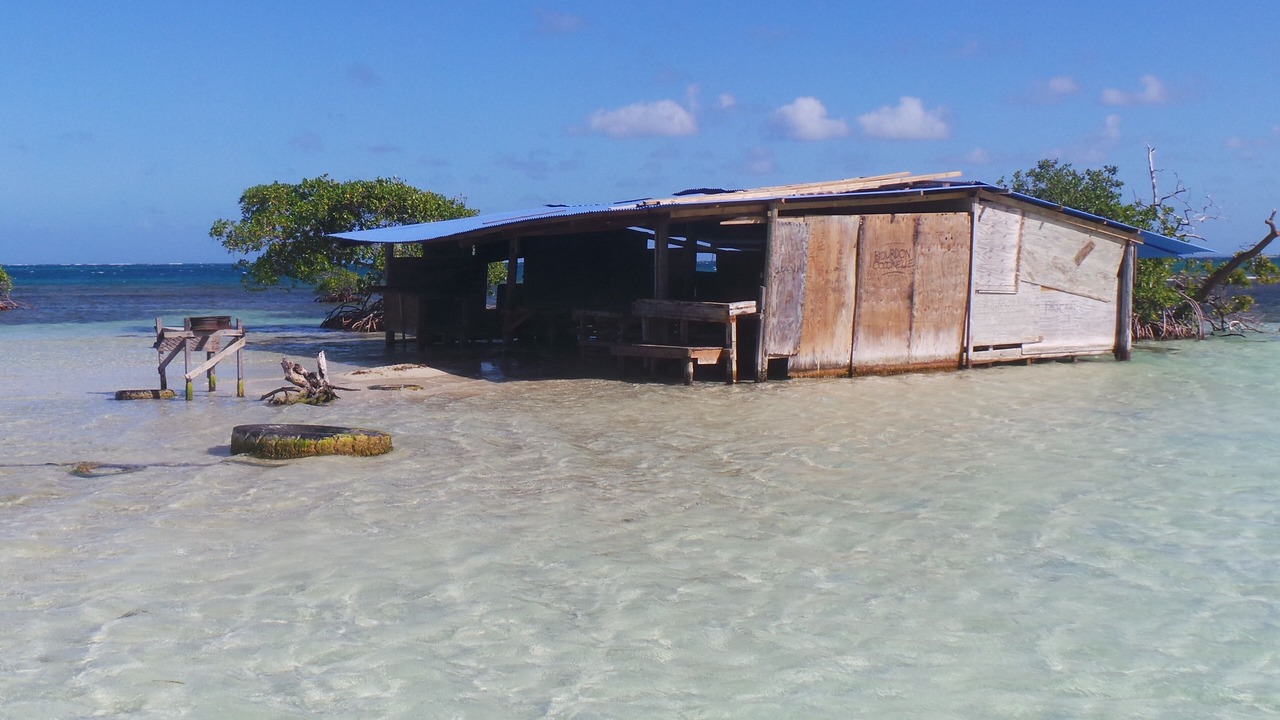 Photo of Outdoor in Anse des Rochers